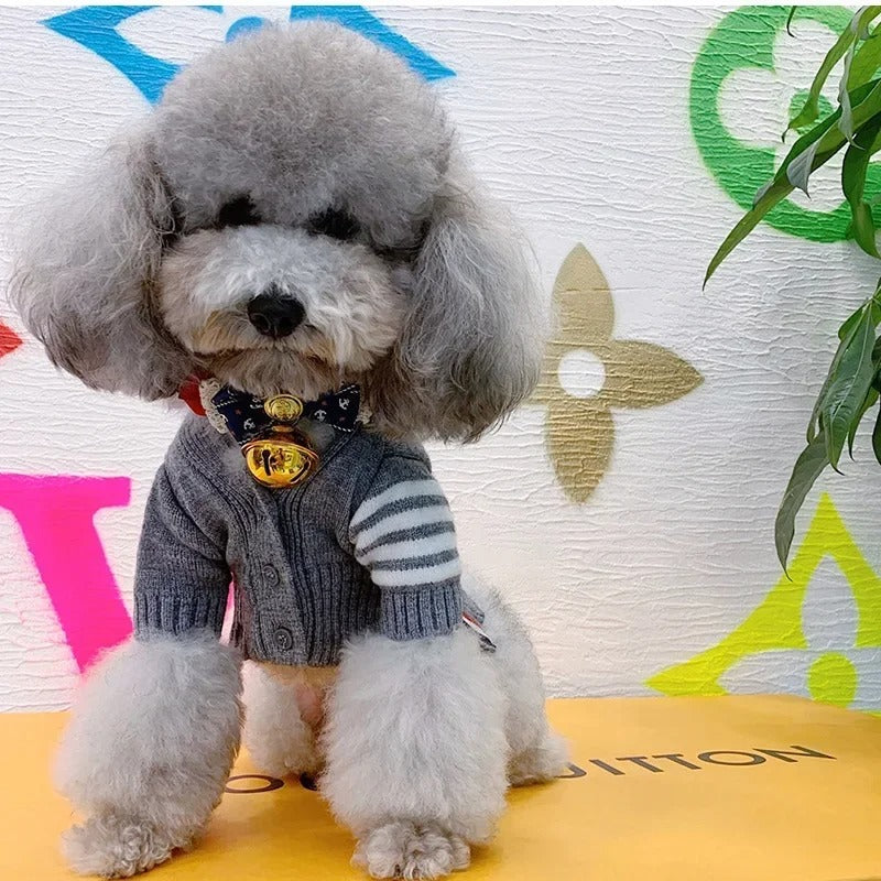 Knit Cardigan Sweater for Pets