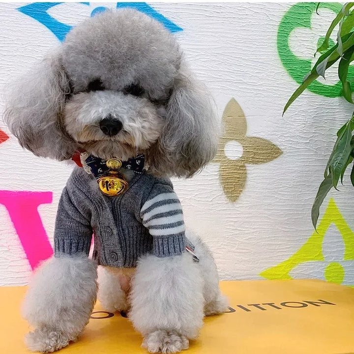 Knit Cardigan Sweater for Pets