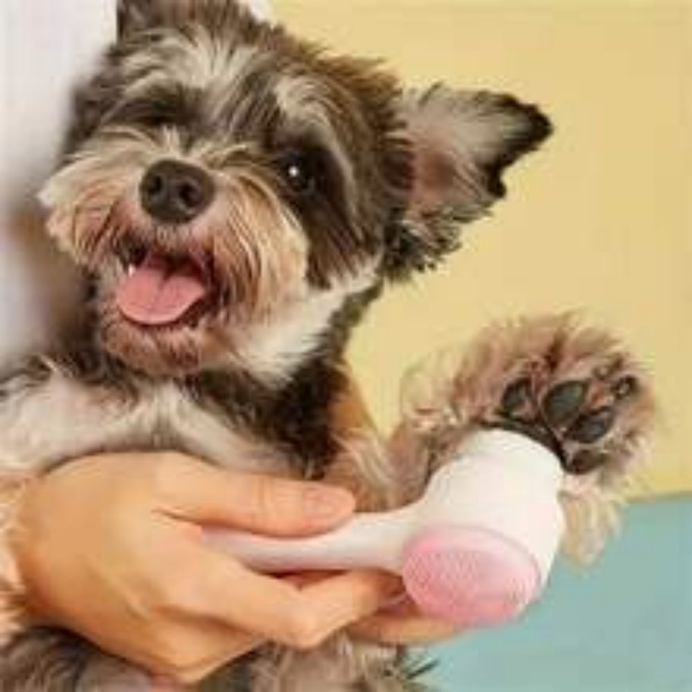 Easy Clean Nylon Pet Paw Brush Gentle Grooming And Massage Tool