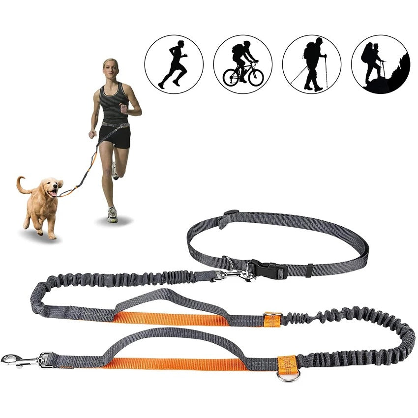 Adjustable Pet Harness Collar Jogging Leash Set
