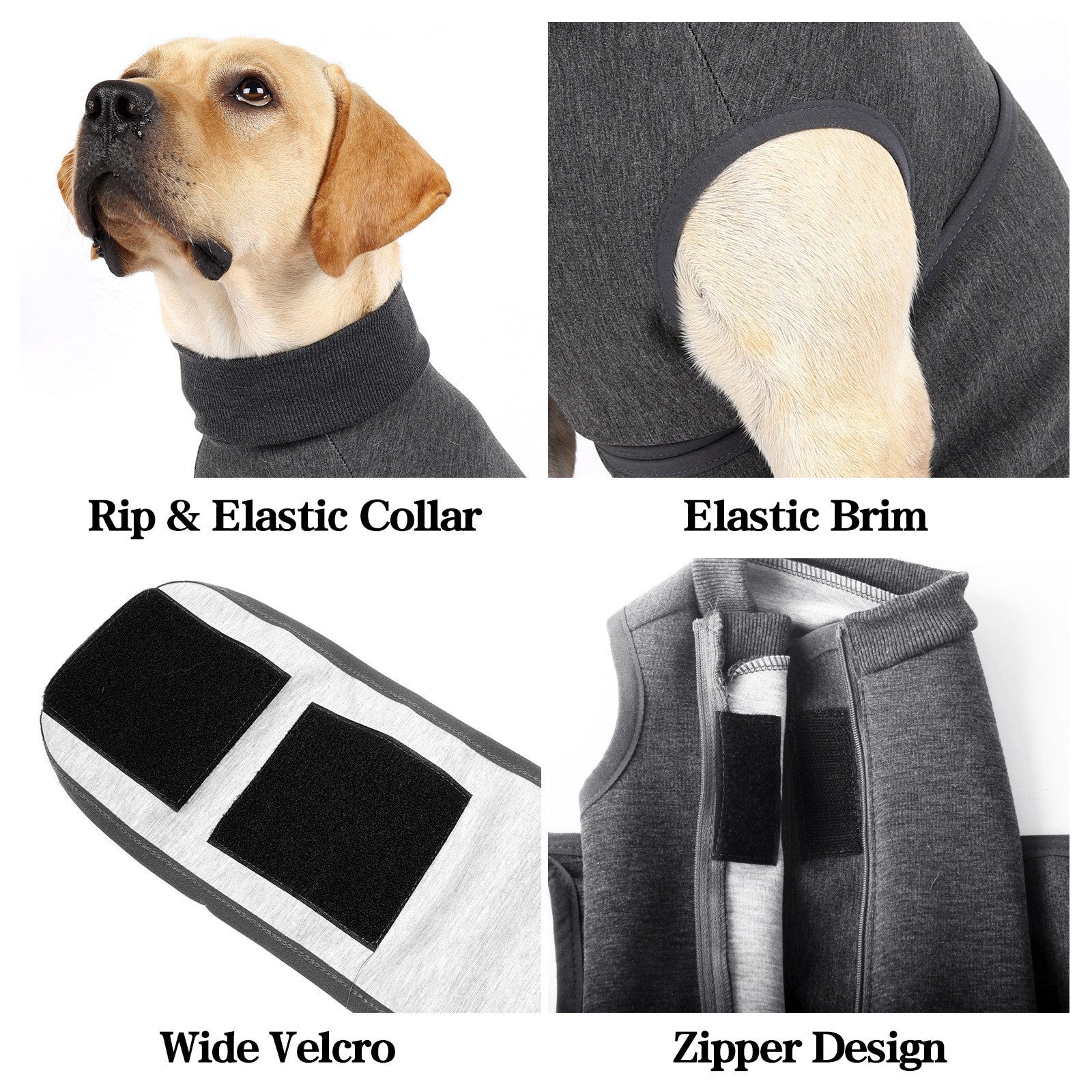 Pet Cotton-Blend Comfort Double-Layer Jacket