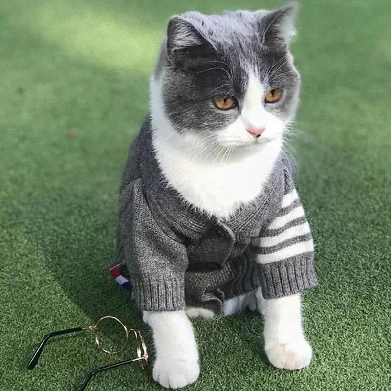 Knit Cardigan Sweater for Pets