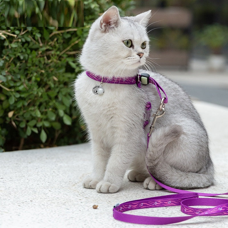Pet Adjustable Harness Vest With Bell And Leash Set