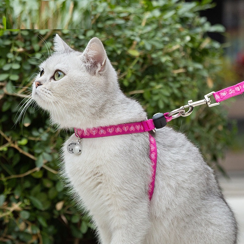Pet Adjustable Harness Vest With Bell And Leash Set