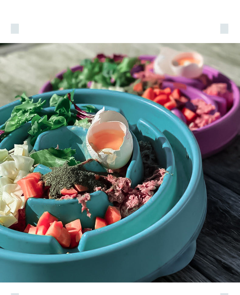 Slow Feed Anti-Choke Self-Licking Pet Food Bowl