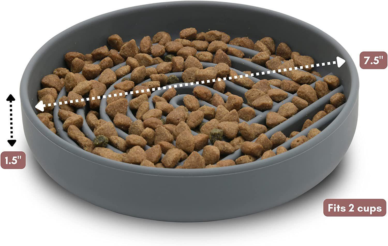 Pet Slow Feeding Bowl Anti-Choke Food Dish